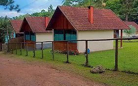 Palmeira Azul